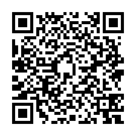 QR code for CBI6389