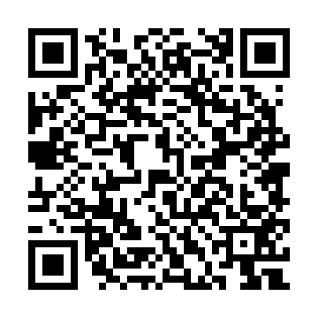 QR code for CDD2539