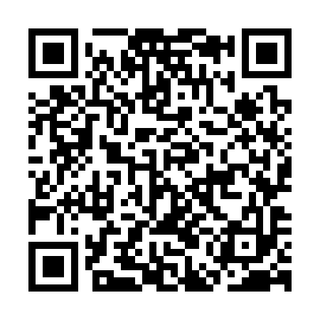 QR code for CEO393
