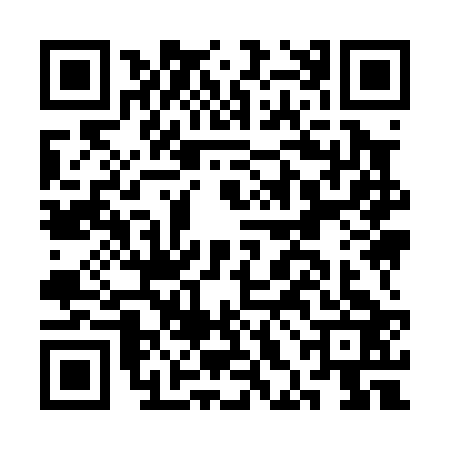 QR code for CHI0237
