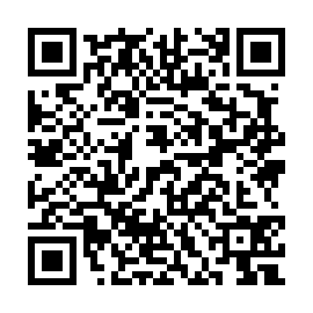 QR code for CHI4340
