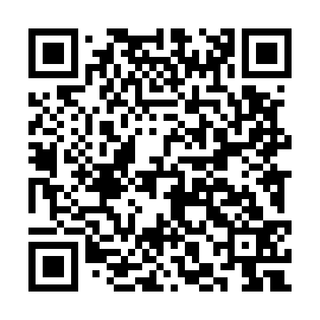 QR code for CHL533