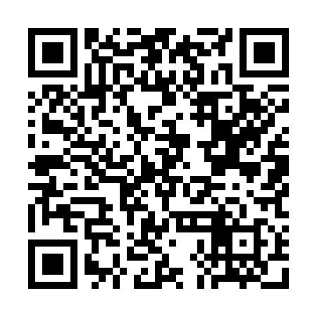 QR code for CHM318