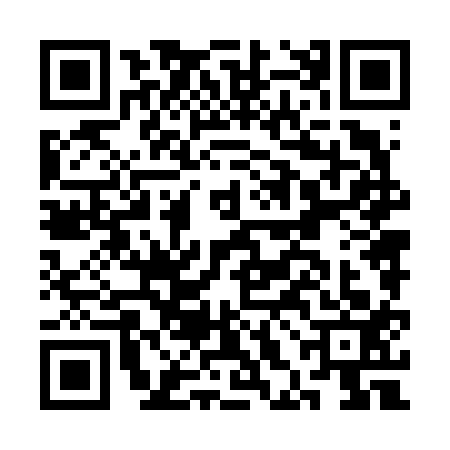 QR code for CHN6133