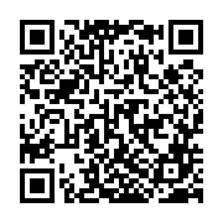 QR code for CHO546