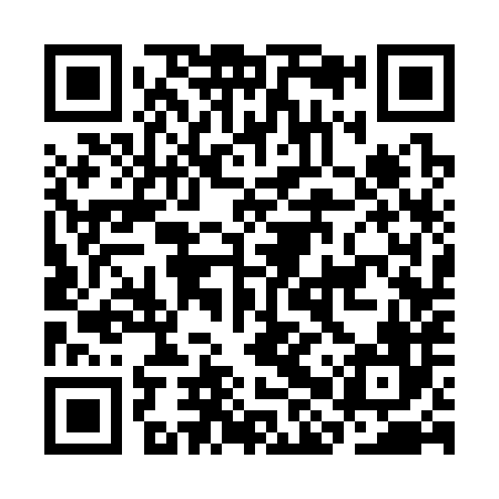 QR code for CHS386