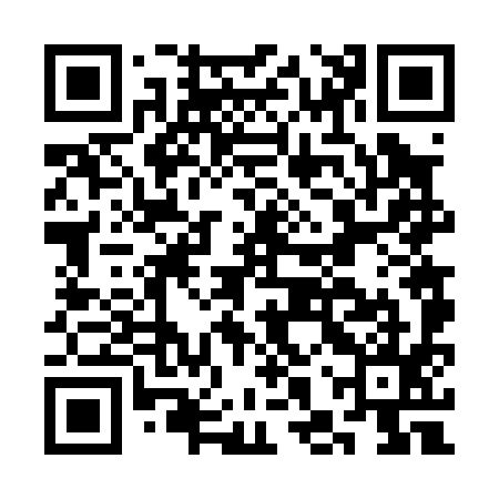 QR code for CHV095
