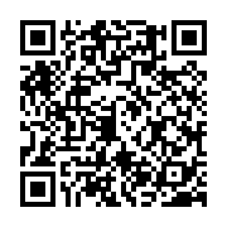 QR code for CJJ0381