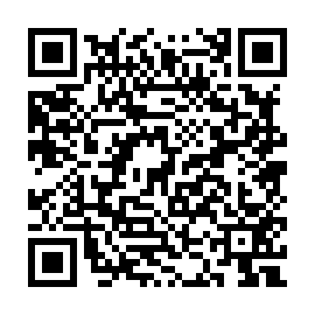 QR code for CKP8533