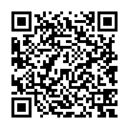QR code for CKT9389