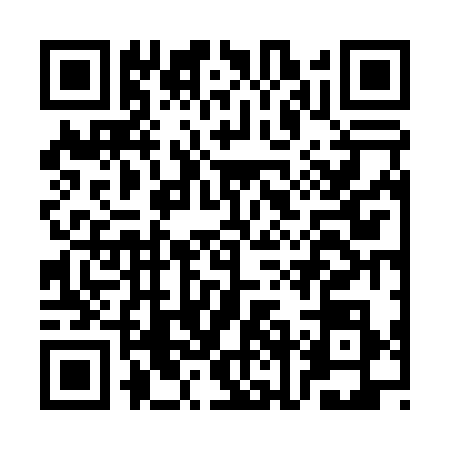 QR code for CNF0384