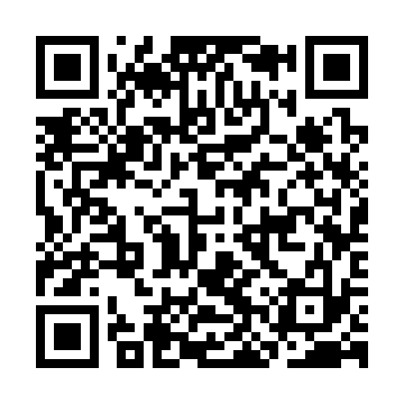 QR code for CNS333