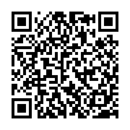 QR code for COE295