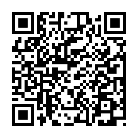 QR code for COG5507
