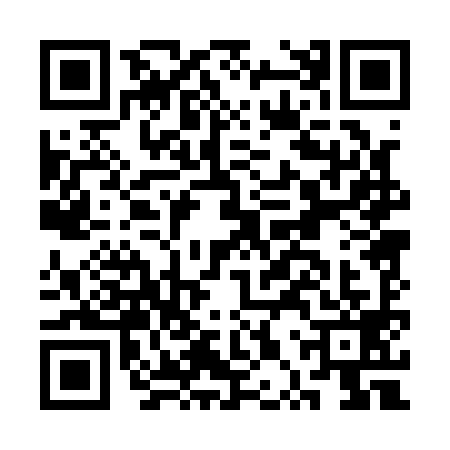 QR code for CPP1996