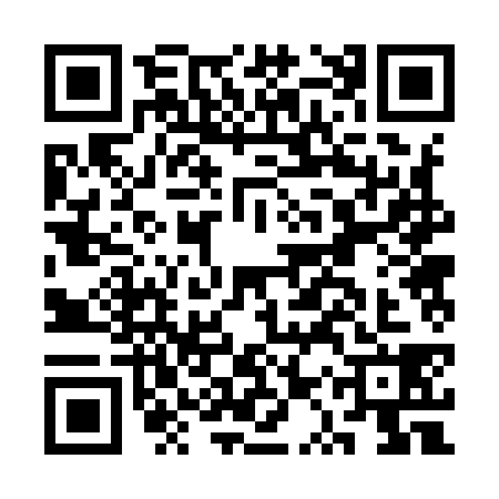 QR code for CQR9384