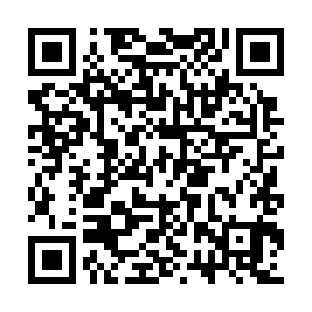 QR code for CRT381