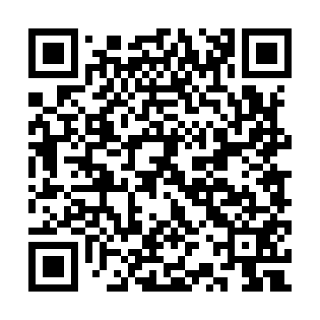 QR code for CRT951