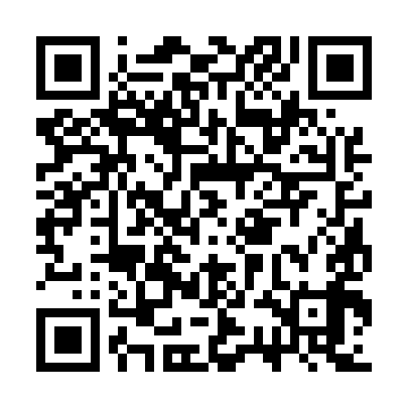 QR code for CSC599