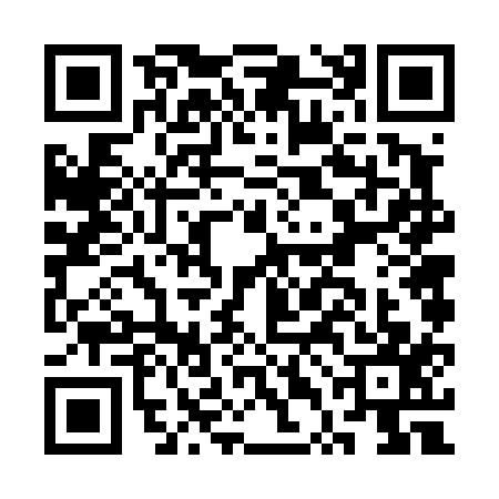 QR code for CTF4171