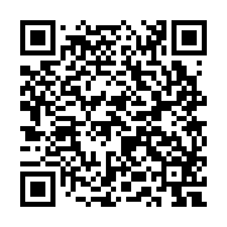 QR code for CUS386