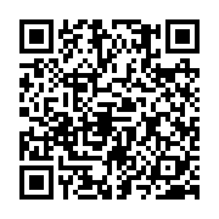 QR code for CYQ2295