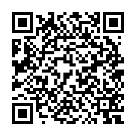 QR code for CZC2533