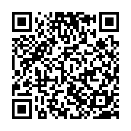 QR code for CZE335