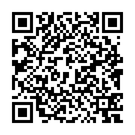 QR code for CZL3313