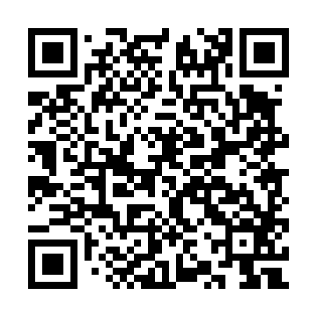 QR code for CZP486