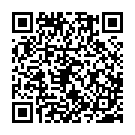 QR code for CZP8832
