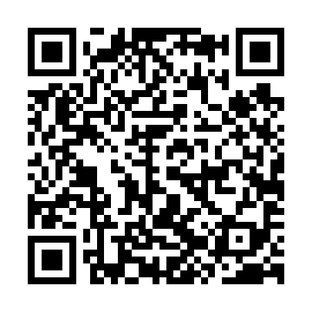 QR code for CZT699