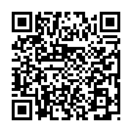 QR code for DAA0381