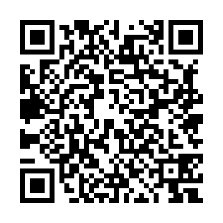 QR code for DAE8380