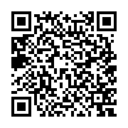 QR code for DAG6771