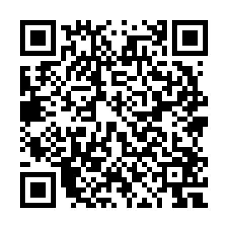 QR code for DAI6466