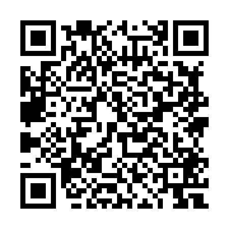QR code for DAI8493