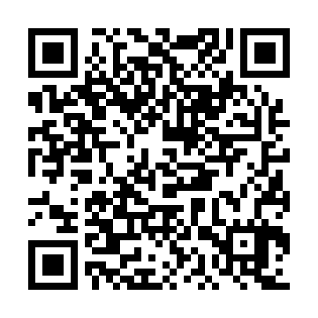 QR code for DAV127