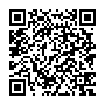 QR code for DBH0383