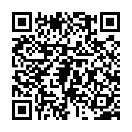 QR code for DDD5293