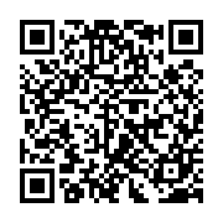 QR code for DDG507