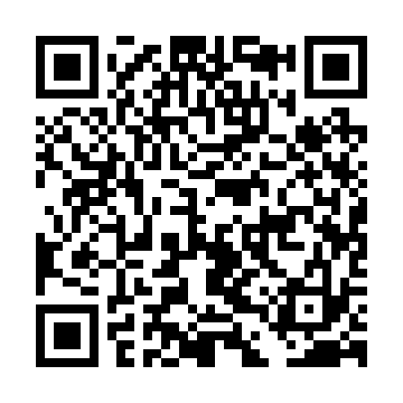 QR code for DDQ233