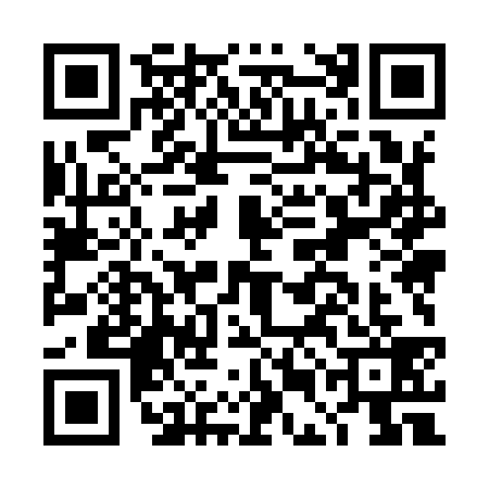 QR code for DEM9393
