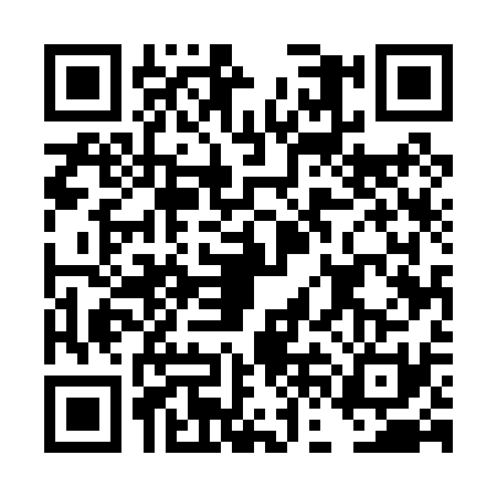 QR code for DFE0319
