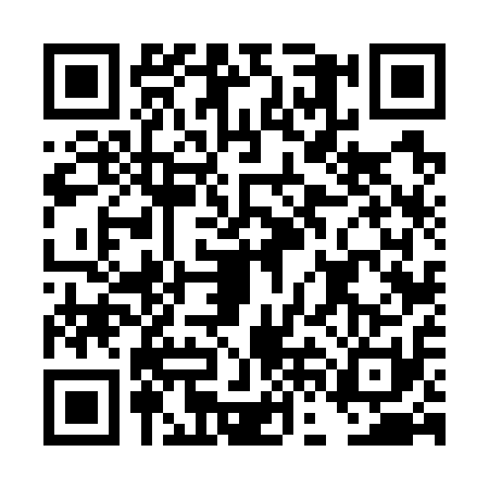 QR code for DFF7113