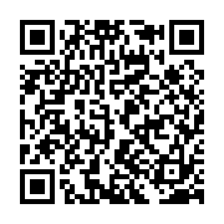 QR code for DFG133