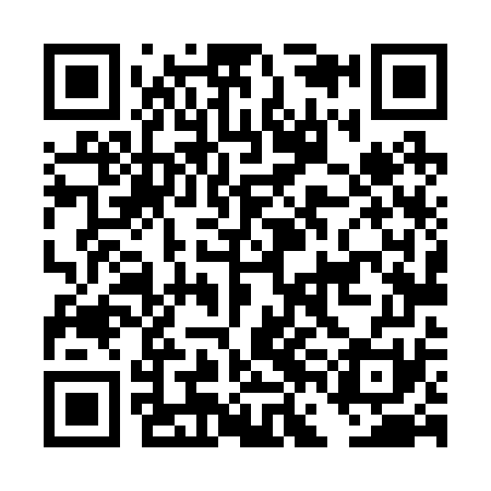 QR code for DFL271