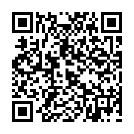 QR code for DFN196