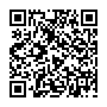 QR code for DFN393