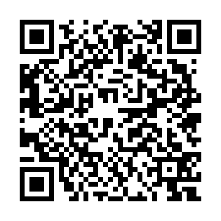 QR code for DFU6333